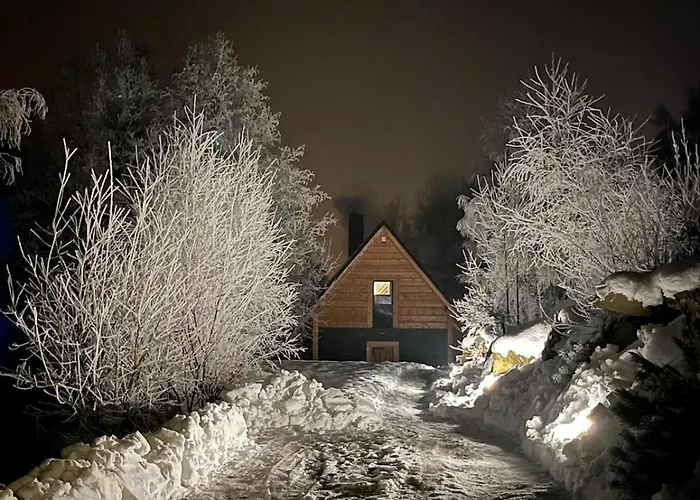 U Przewodnika فيلة